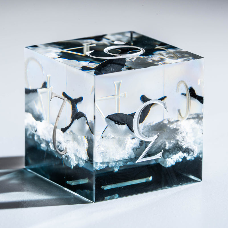 a glass block with a picture of a dolphin on it
